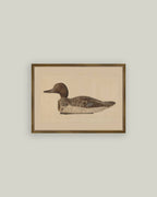 Wooden Duck Decoy Framed Antique Art: 9x7