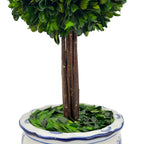Boxwood Ball Topiary Tree in Round Blue & White Ceramic Pot: Large