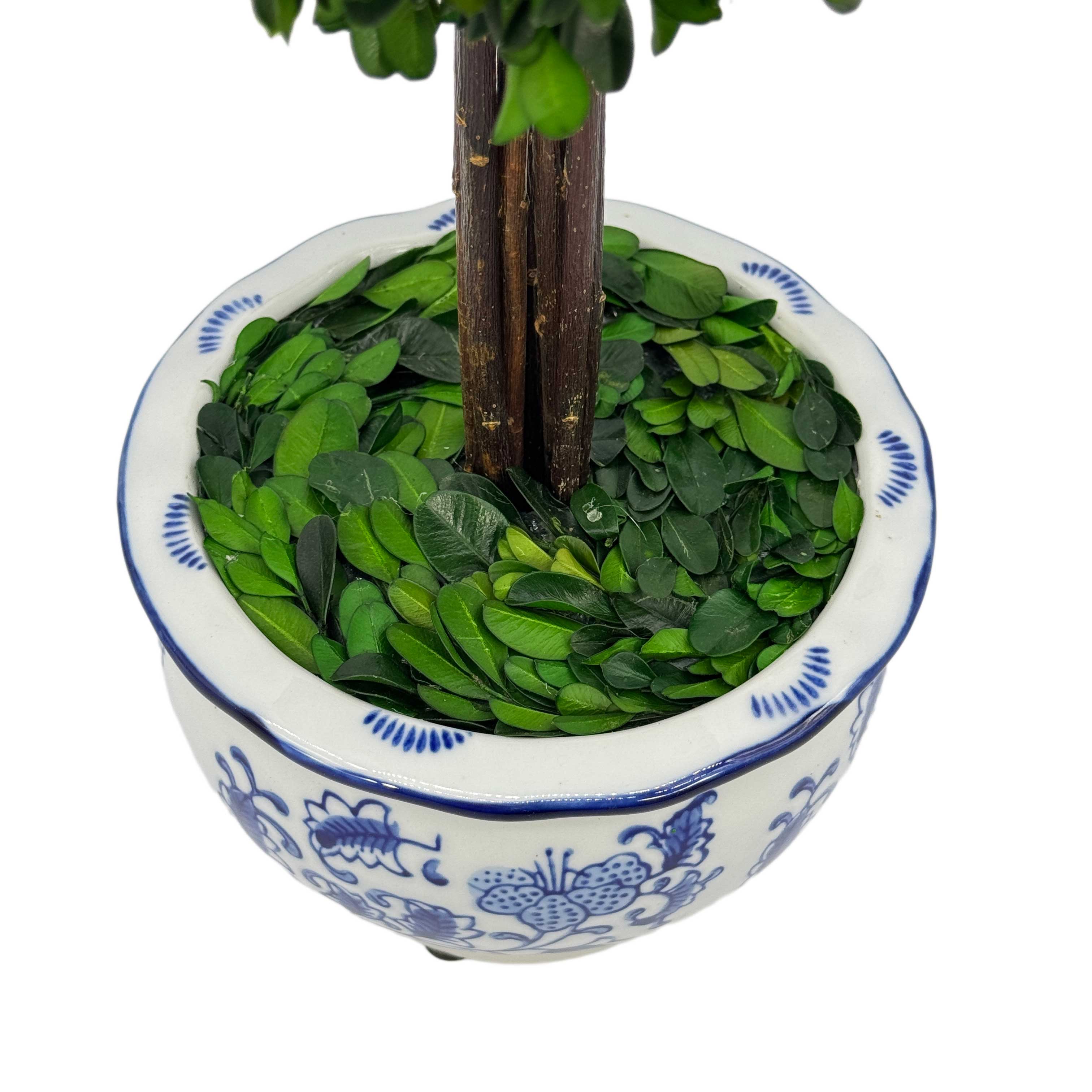 Boxwood Ball Topiary Tree in Round Blue & White Ceramic Pot: Large