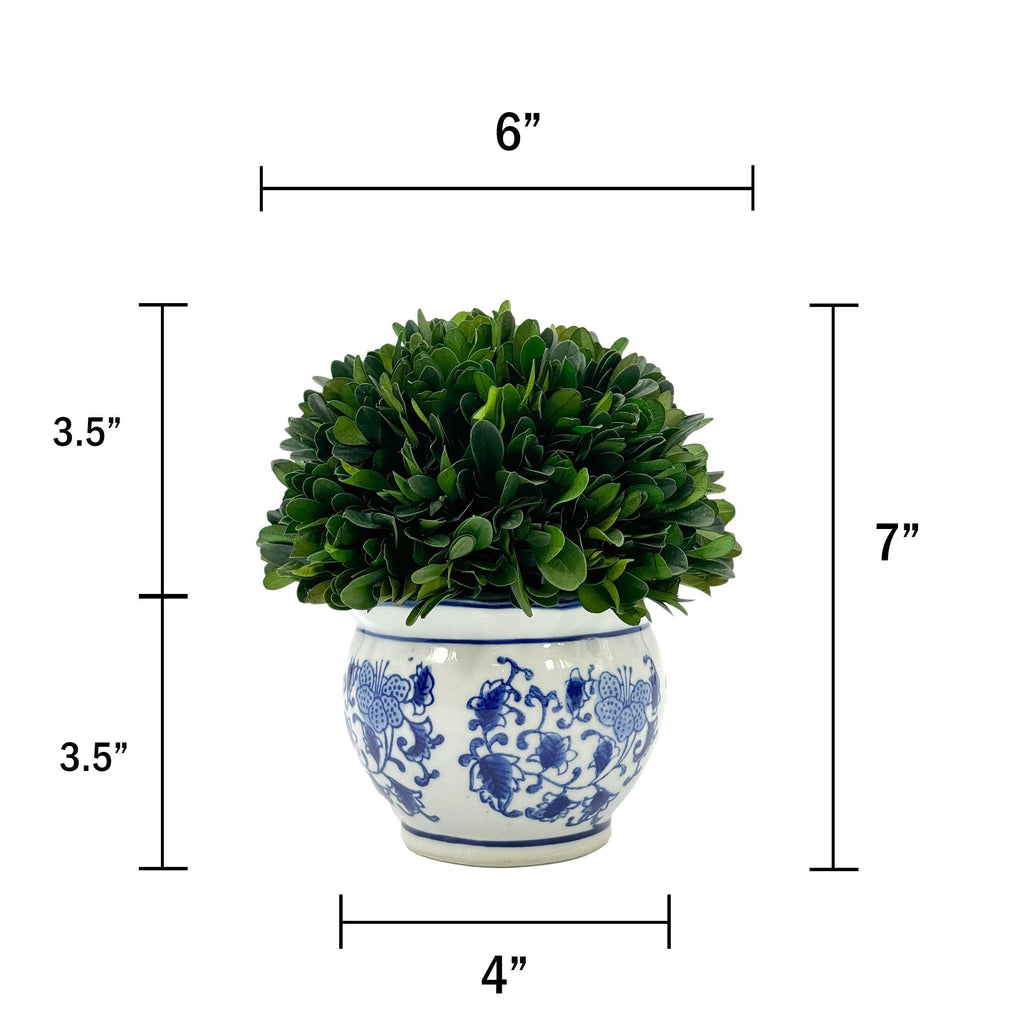 Boxwood Ball Topiary in Round Bulb Blue & White Ceramic Pot: Medium
