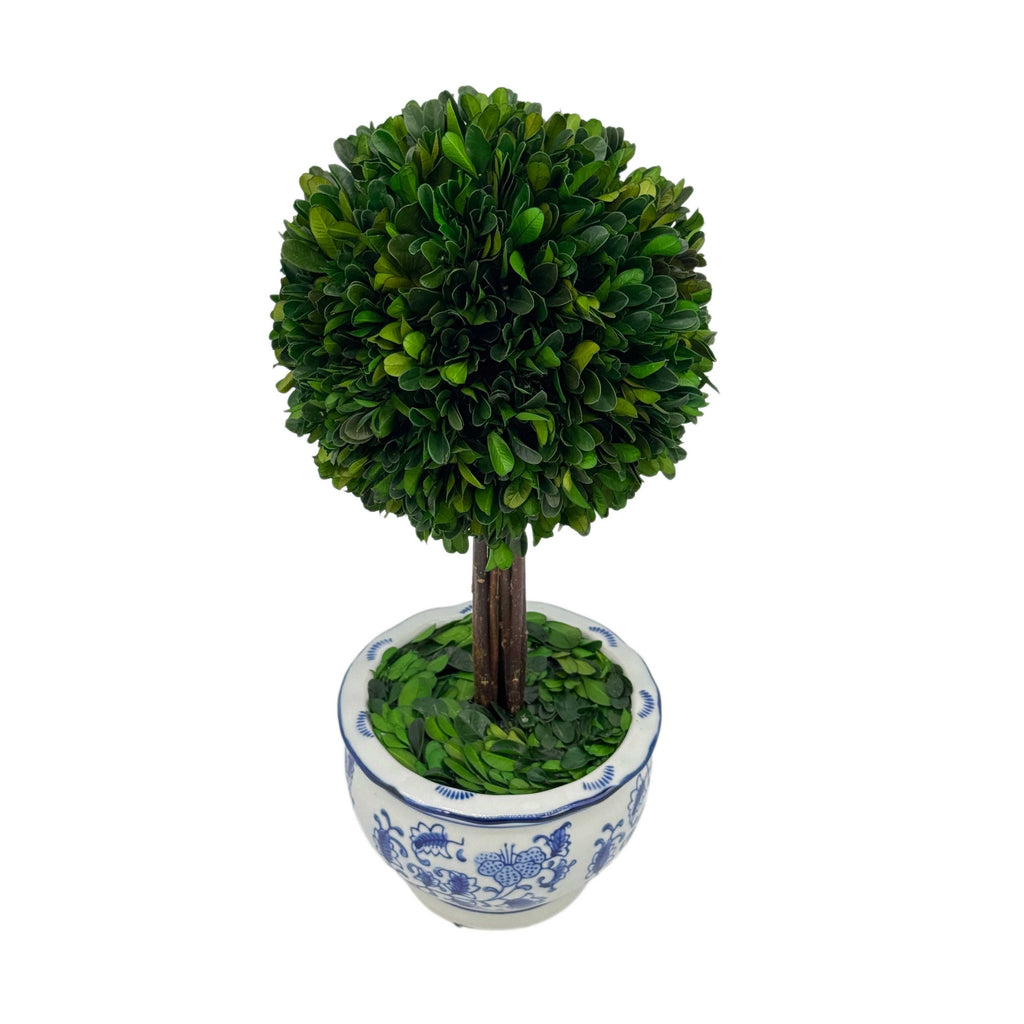 Boxwood Ball Topiary Tree in Round Blue & White Ceramic Pot: Large