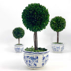 Boxwood Ball Topiary Tree in Round Blue & White Ceramic Pot: Large
