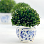Boxwood Ball Topiary in Round Bulb Blue & White Ceramic Pot: Medium