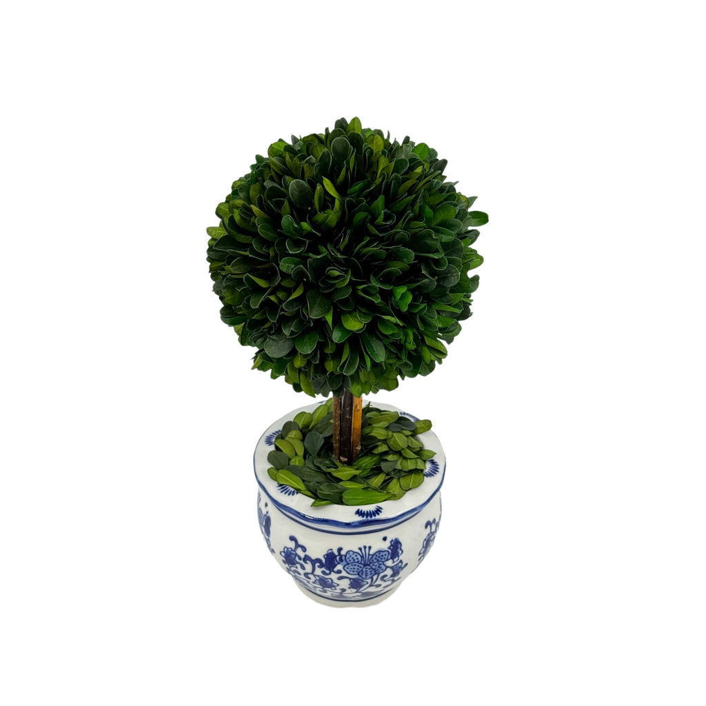 Boxwood Ball Topiary Tree in Round Blue & White Ceramic Pot: Large