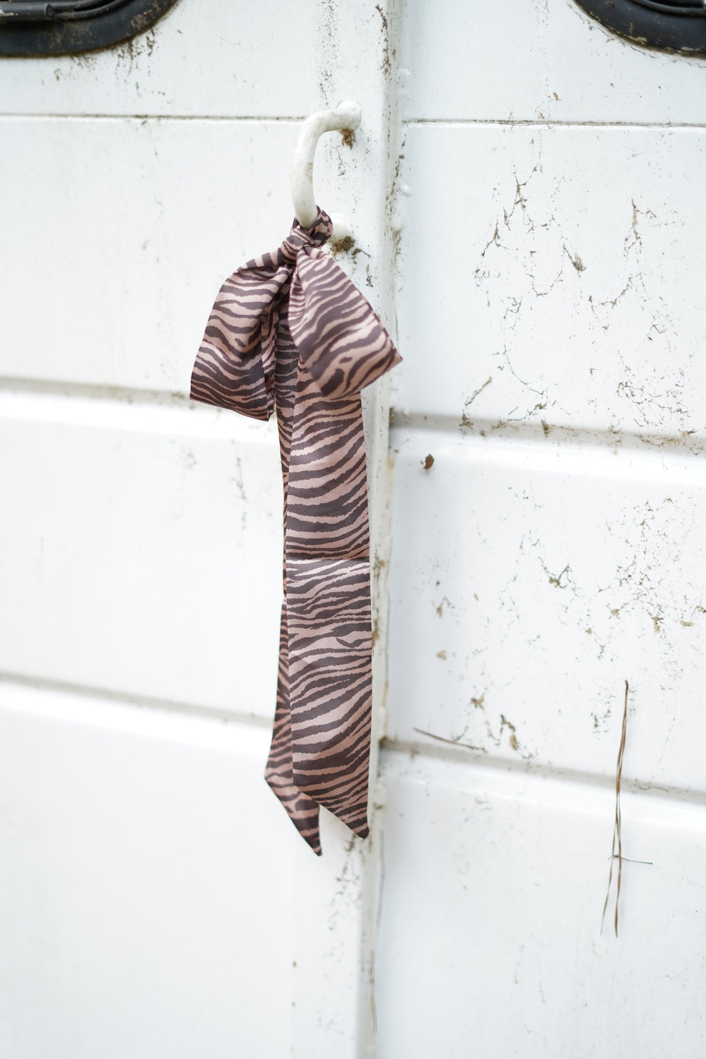 Zebra Twilly
