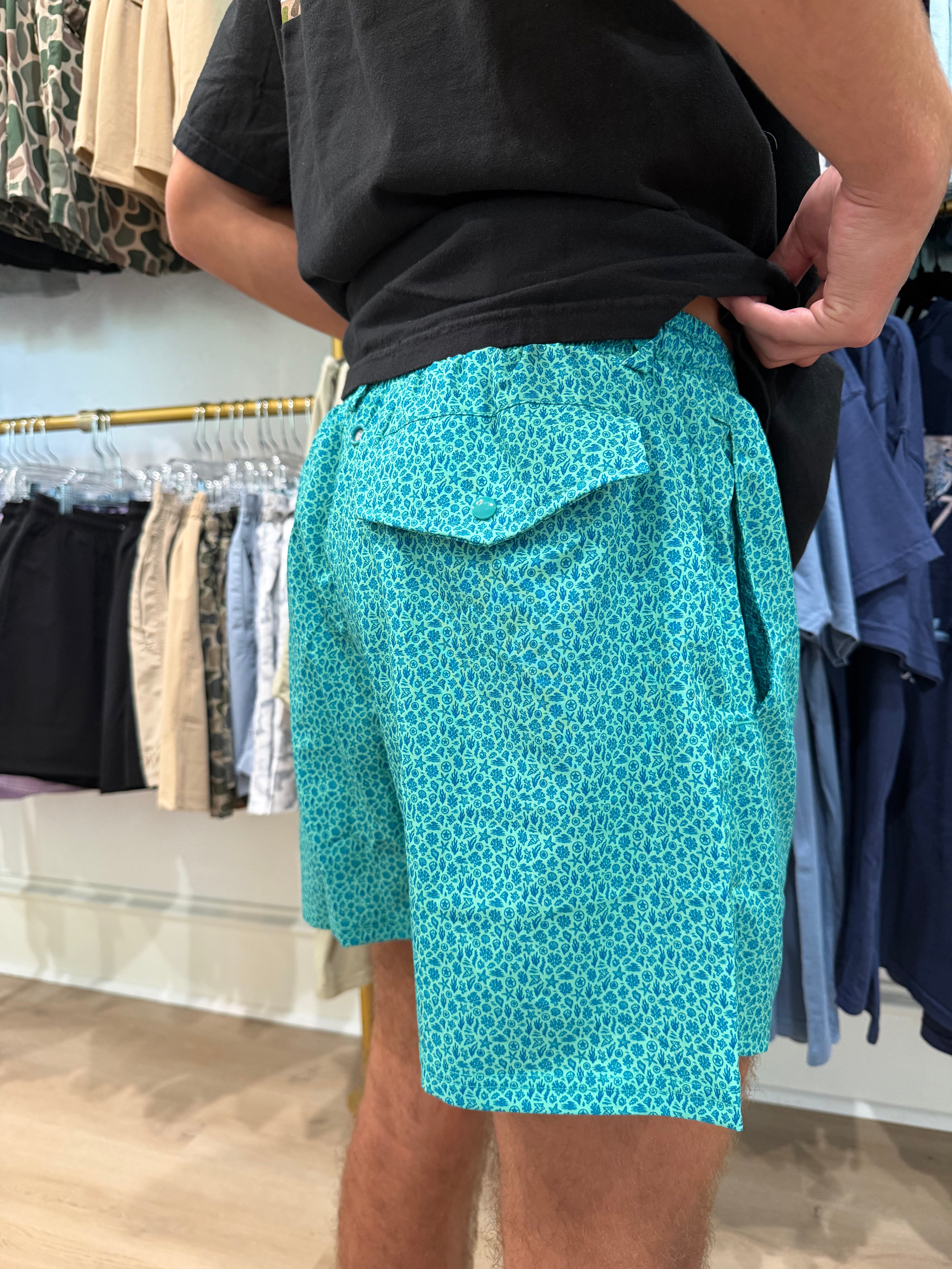 Teal Shorts