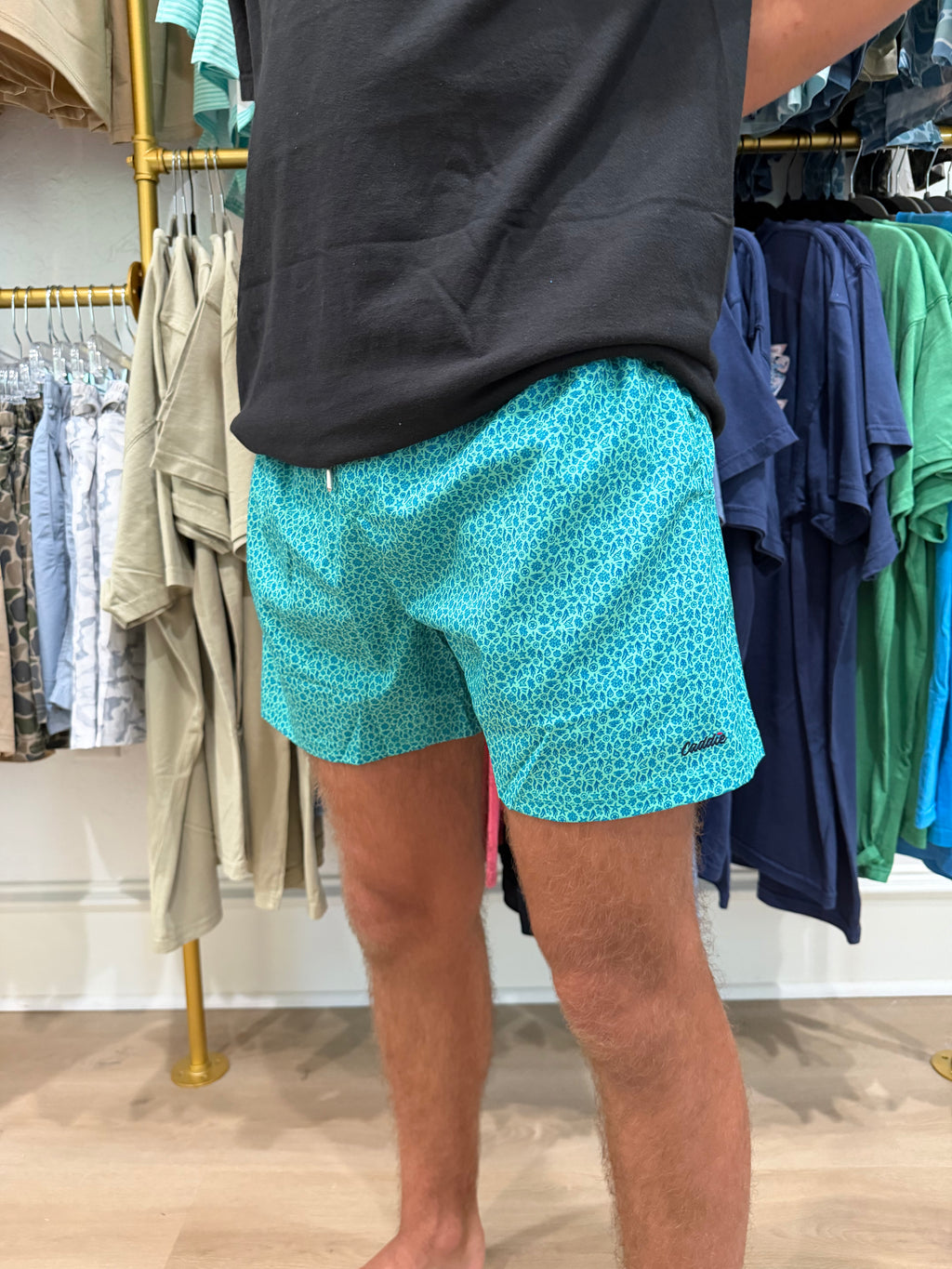 Teal Shorts