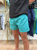 Teal Shorts