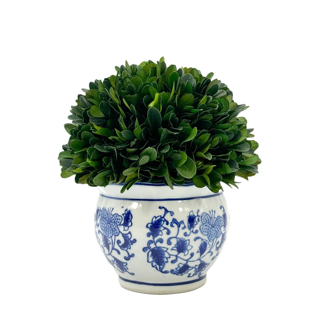 Boxwood Ball Topiary in Round Bulb Blue & White Ceramic Pot: Small