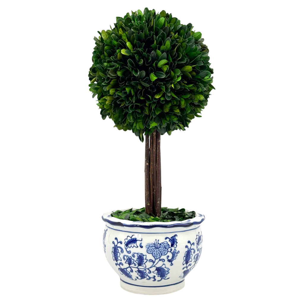 Boxwood Ball Topiary Tree in Round Blue & White Ceramic Pot: Large