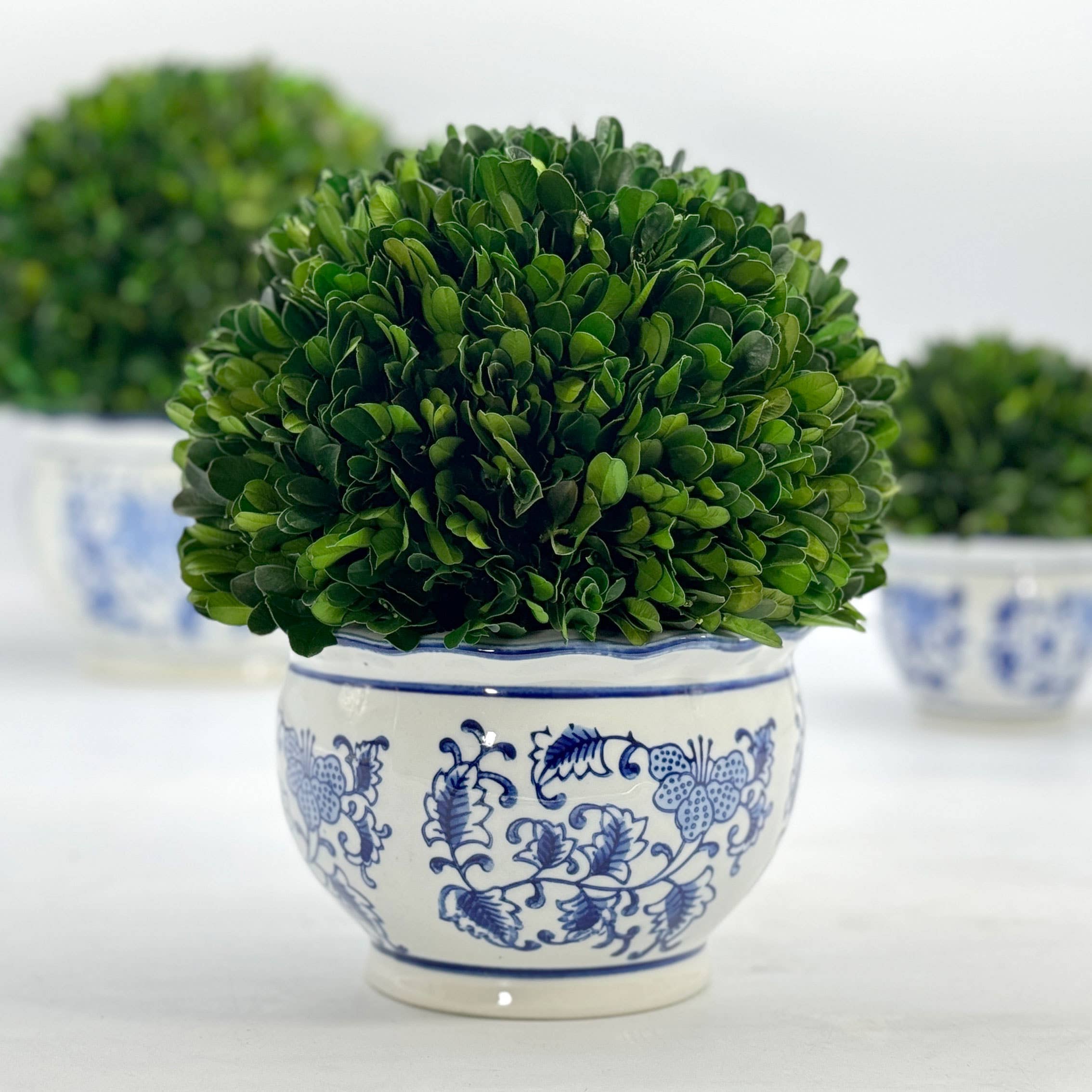 Boxwood Ball Topiary in Round Bulb Blue & White Ceramic Pot: Small