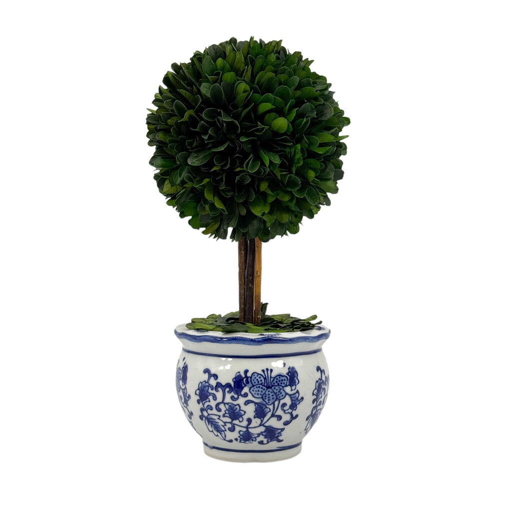 Boxwood Ball Topiary Tree in Round Blue & White Ceramic Pot: Large