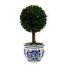 Boxwood Ball Topiary Tree in Round Blue & White Ceramic Pot: Large