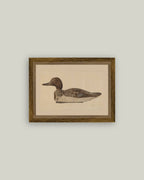 Wooden Duck Decoy Framed Antique Art: 9x7
