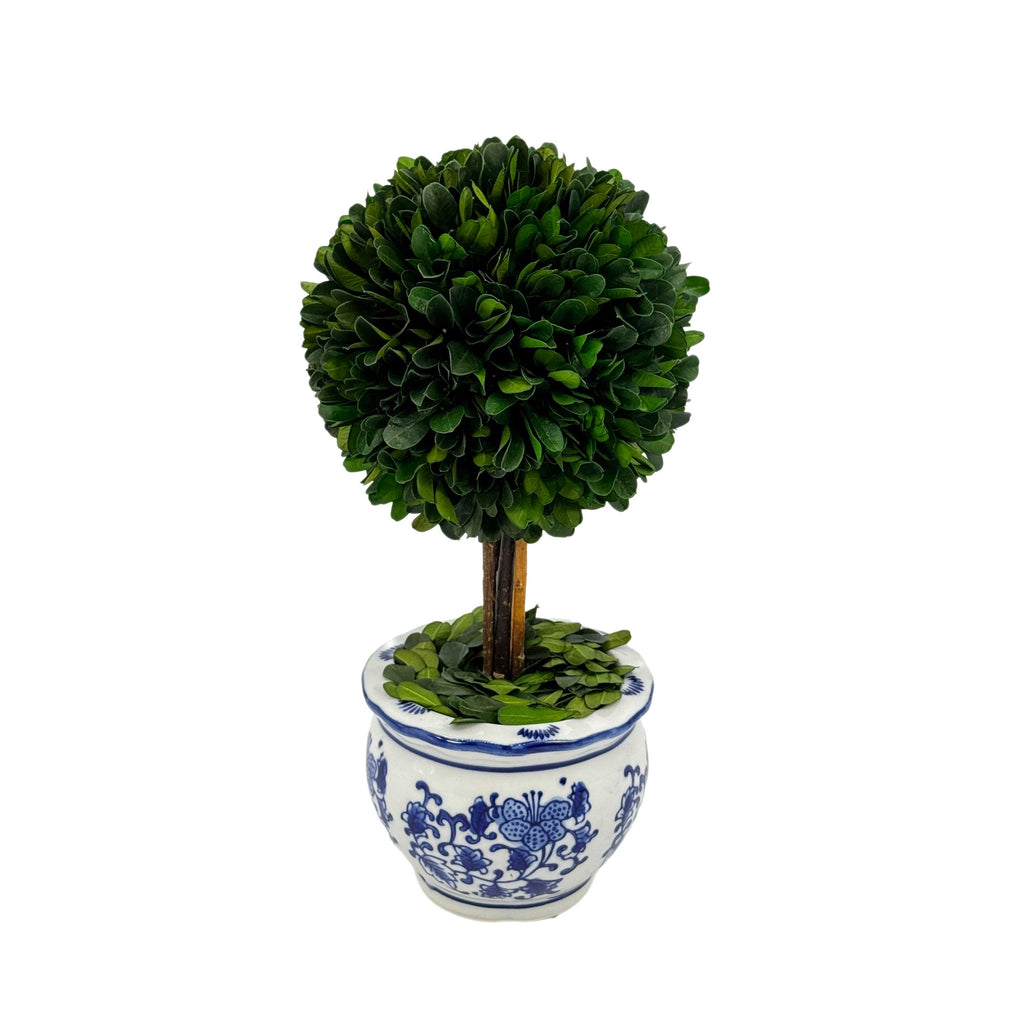 Boxwood Ball Topiary Tree in Round Blue & White Ceramic Pot: Large