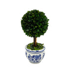 Boxwood Ball Topiary Tree in Round Blue & White Ceramic Pot: Large