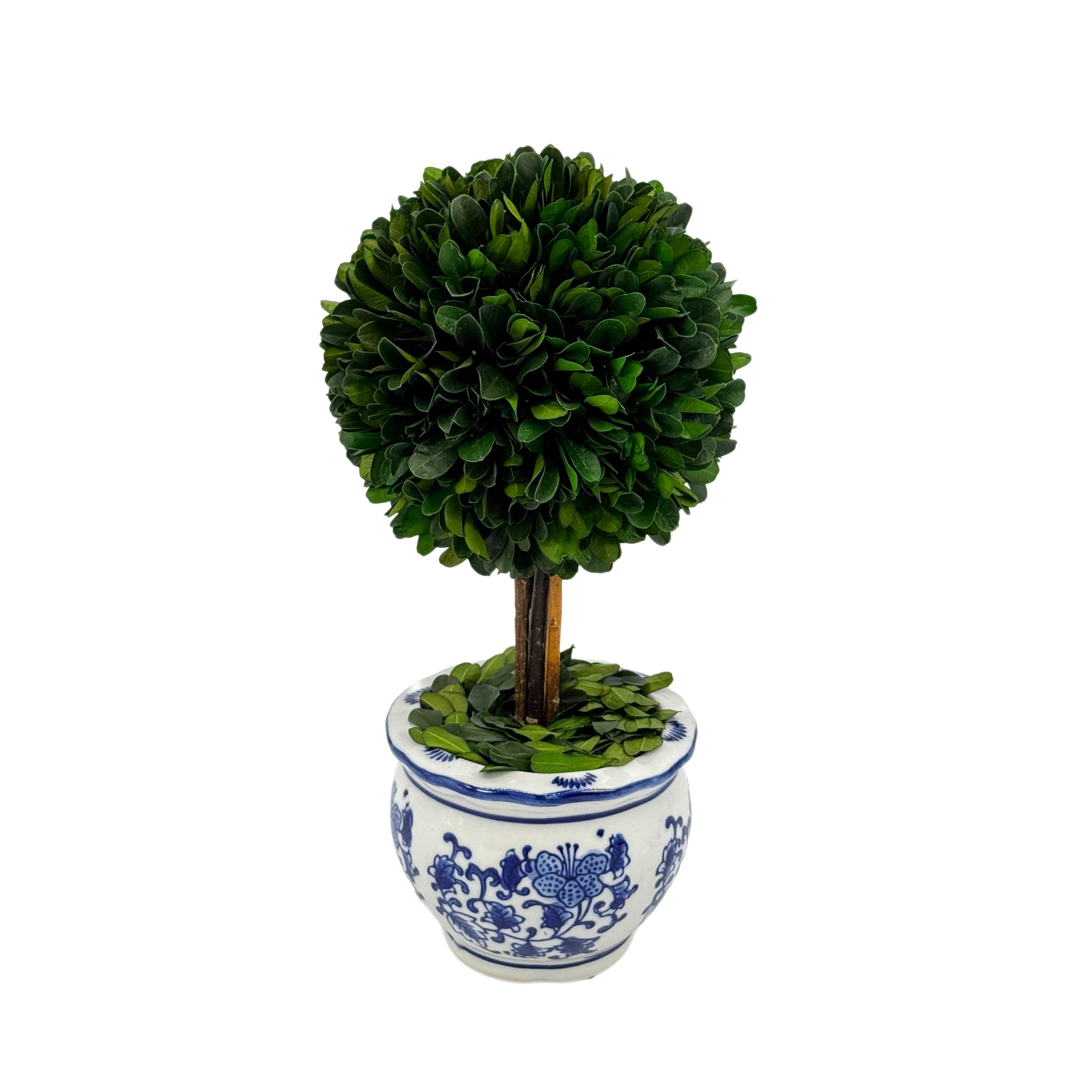 Boxwood Ball Topiary Tree in Round Blue & White Ceramic Pot: Large