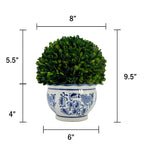 Boxwood Ball Topiary in Round Bulb Blue & White Ceramic Pot: Small