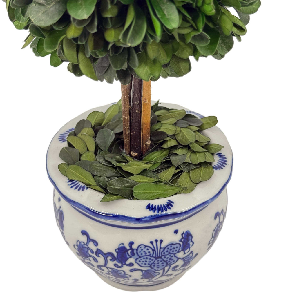 Boxwood Ball Topiary Tree in Round Blue & White Ceramic Pot: Large