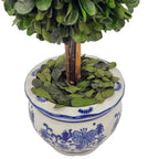 Boxwood Ball Topiary Tree in Round Blue & White Ceramic Pot: Large