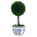 Boxwood Ball Topiary Tree in Round Blue & White Ceramic Pot: Large